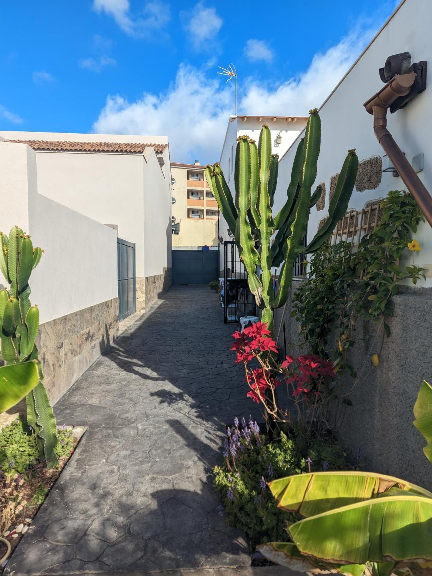 Apartmán Casa Roberta Fuego Arona  Exteriér fotografie